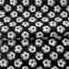 Bavlněná látka - Fotbalové míče na černé
